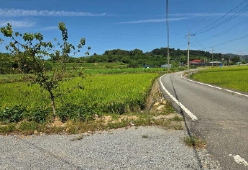 2025타경12329 충청남도 아산시 신창면 신달리 472 농지 경매 이미지