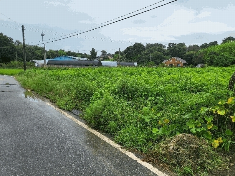 2025타경12329 충청남도 아산시 신창면 신달리 472 농지 경매 이미지