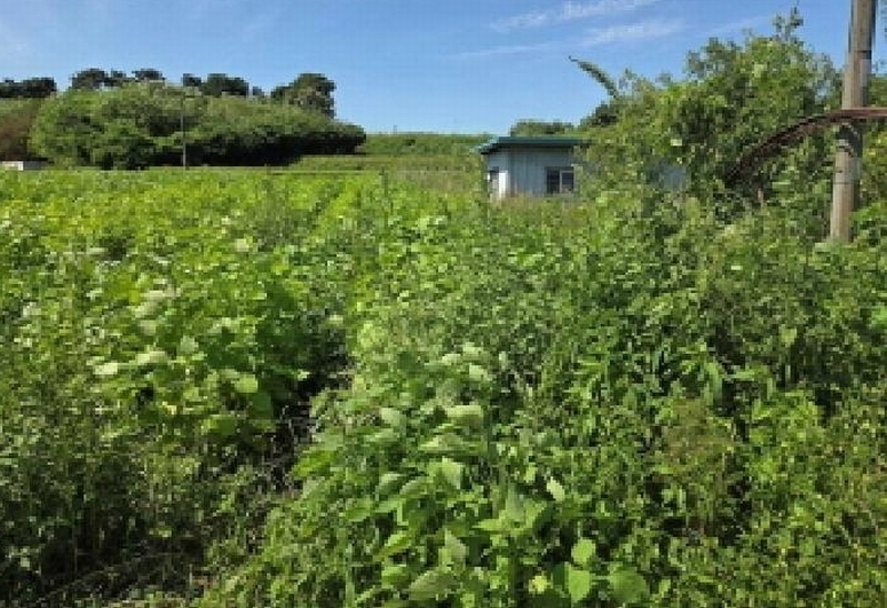 2025타경12329 충청남도 아산시 신창면 신달리 472 농지 경매 이미지