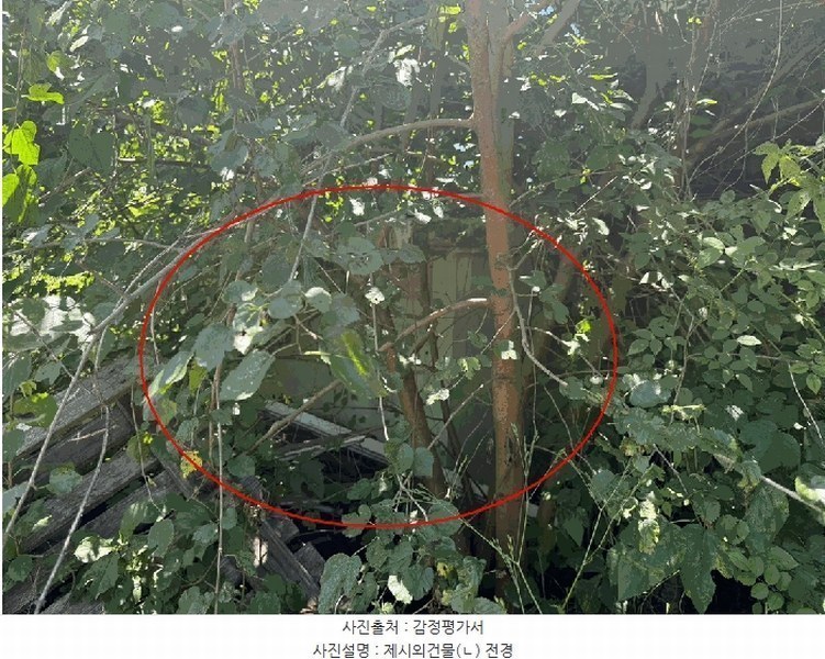 2025타경2814 강원특별자치도 철원군 철원읍 대마리 55-1 주택 경매 이미지