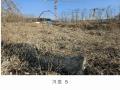 2025타경70862 경기도 양주시 은현면 용암리 749-12 임야 경매 이미지