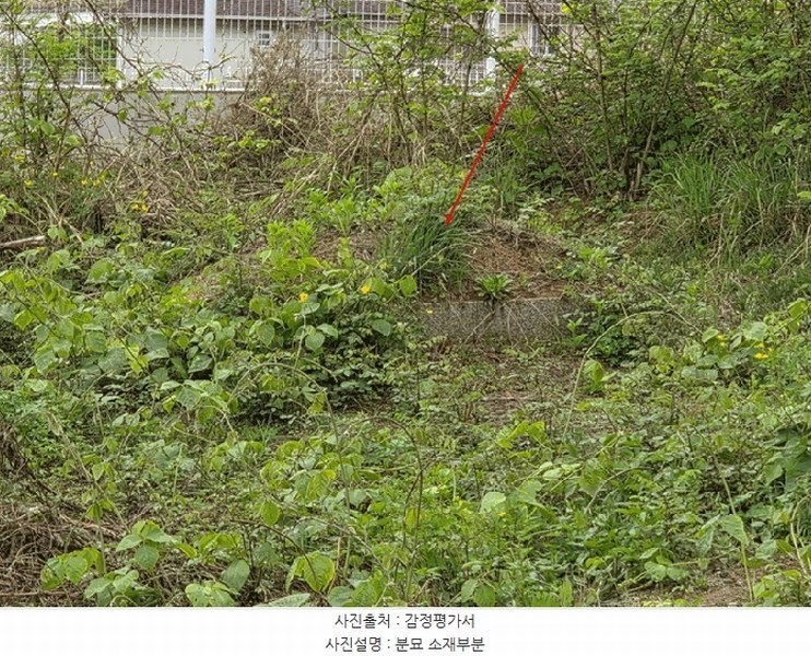2025타경71929 경기도 양주시 만송동 58-16 과수원 경매 이미지