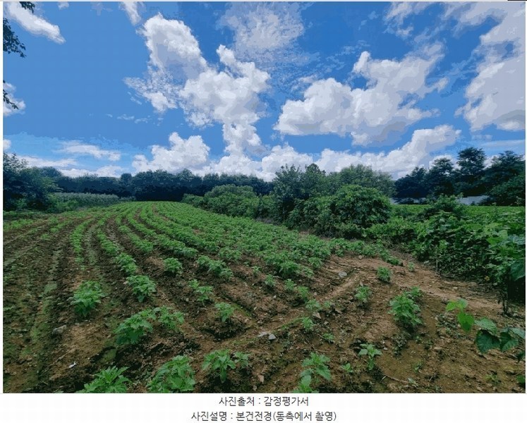 2025타경72249 경기도 연천군 미산면 삼화리 96 농지 경매 이미지