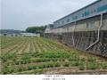 2024타경80206 경기도 양주시 은현면 운암리 440-4 공장 경매 이미지