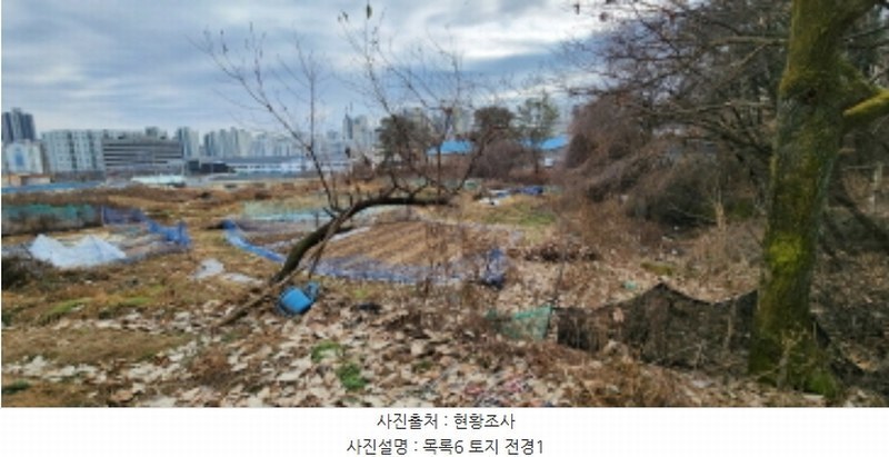 2024타경91589 경기도 양주시 덕계동 685-8 농지 경매 이미지