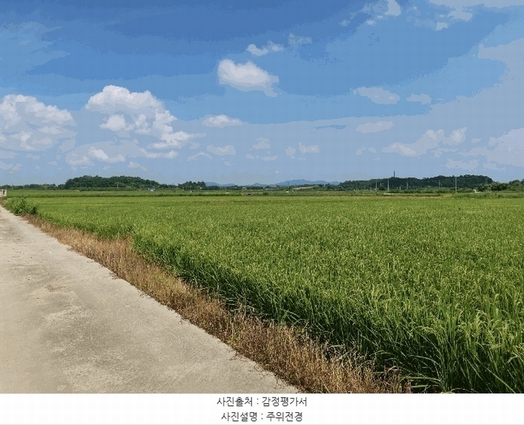 2025타경3190 강원특별자치도 철원군 철원읍 사요리 552-3 농지 경매 이미지