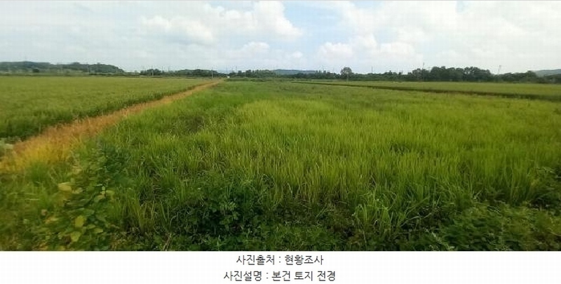 2025타경3190 강원특별자치도 철원군 철원읍 사요리 552-3 농지 경매 이미지