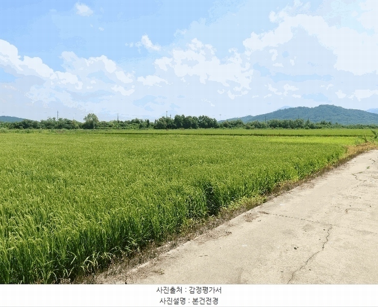 2025타경3190 강원특별자치도 철원군 철원읍 사요리 552-3 농지 경매 이미지