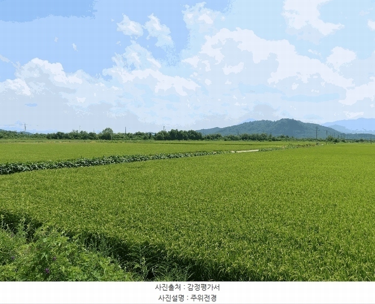 2025타경3190 강원특별자치도 철원군 철원읍 사요리 552-3 농지 경매 이미지