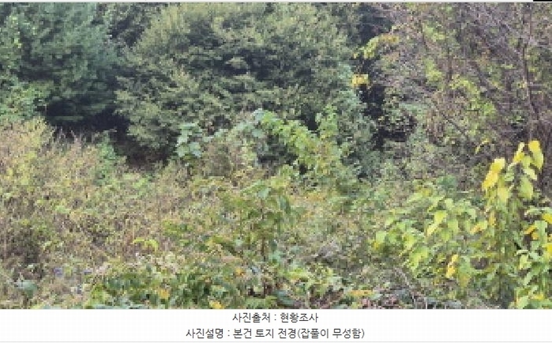 2025타경4346 경기도 포천시 영북면 대회산리 130 농지 경매 이미지