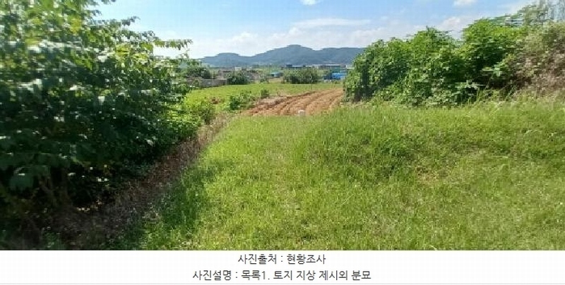 2025타경72614 경기도 연천군 연천읍 통현리 83-1 대지 경매 이미지