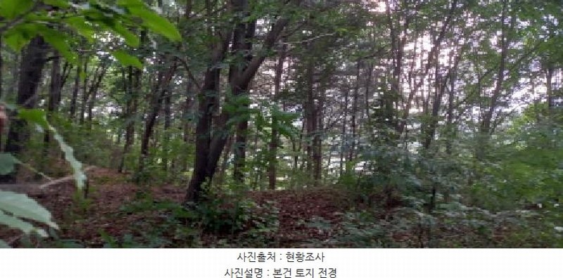 2025타경72658 강원특별자치도 철원군 갈말읍 강포리 산108 임야 경매 이미지