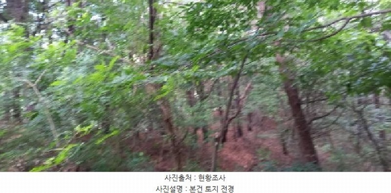 2025타경72658 강원특별자치도 철원군 갈말읍 강포리 산108 임야 경매 이미지