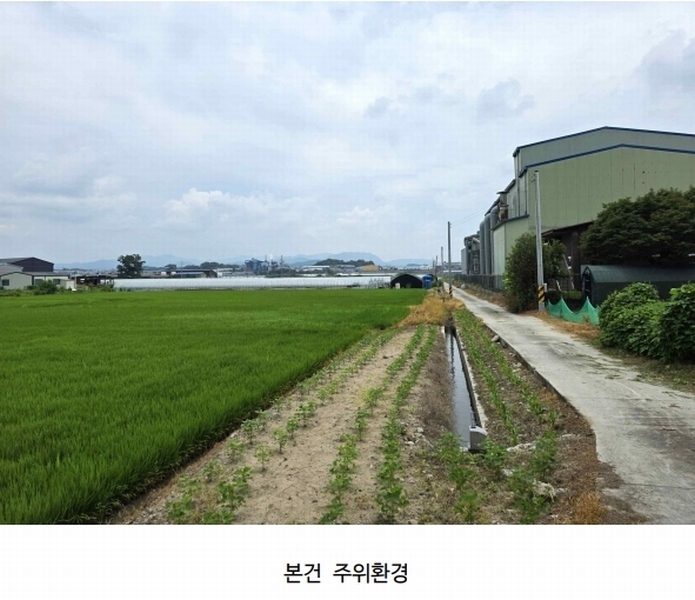 2025타경72698 경기도 양주시 남면 상수리 162-81 농지 경매 이미지