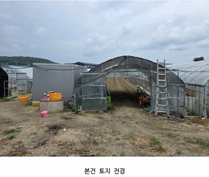 2025타경72698 경기도 양주시 남면 상수리 162-81 농지 경매 이미지