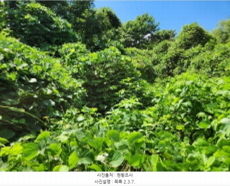 2025타경72798 경기도 동두천시 동두천동 79-3 임야 경매 이미지
