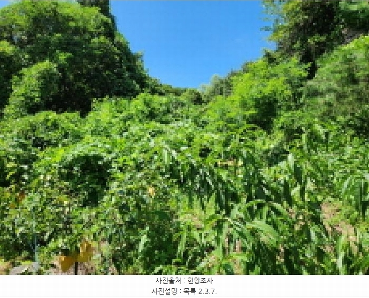 2025타경72798 경기도 동두천시 동두천동 79-3 임야 경매 이미지