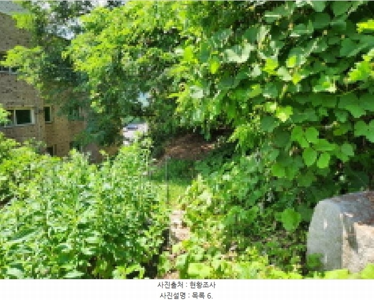 2025타경72798 경기도 동두천시 동두천동 79-3 임야 경매 이미지