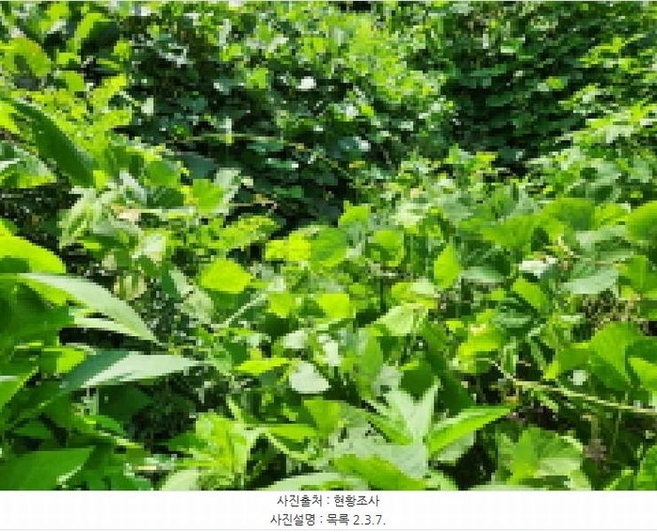 2025타경72798 경기도 동두천시 동두천동 79-3 임야 경매 이미지