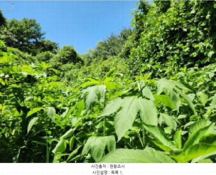 2025타경72798 경기도 동두천시 동두천동 79-3 임야 경매 이미지