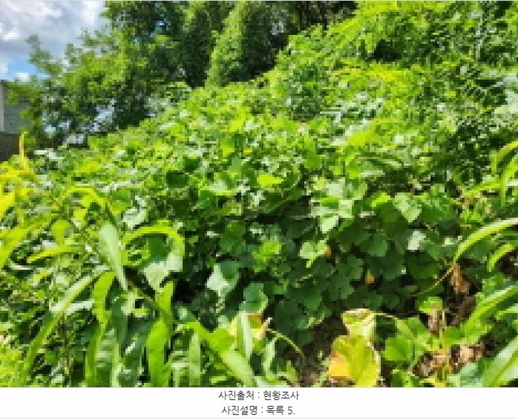 2025타경72798 경기도 동두천시 동두천동 79-3 임야 경매 이미지