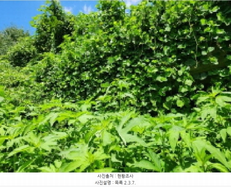 2025타경72798 경기도 동두천시 동두천동 79-3 임야 경매 이미지