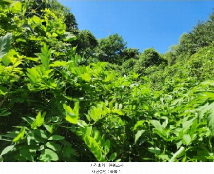 2025타경72798 경기도 동두천시 동두천동 79-3 임야 경매 이미지