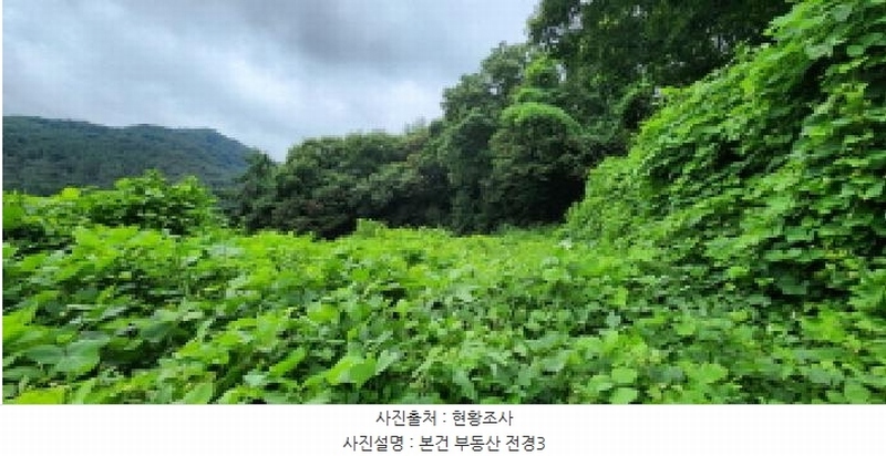 2025타경72902 경기도 양주시 백석읍 기산리 310-1 농지 경매 이미지