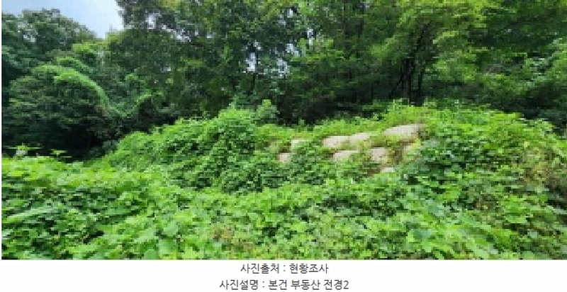 2025타경72902 경기도 양주시 백석읍 기산리 310-1 농지 경매 이미지