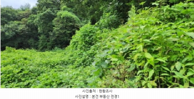 2025타경72902 경기도 양주시 백석읍 기산리 310-1 농지 경매 이미지