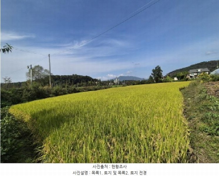 2025타경73262 경기도 포천시 창수면 추동리 43-1 농지 경매 이미지