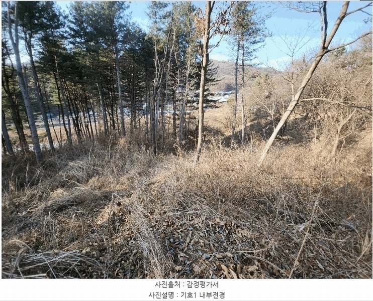 2025타경73623 경기도 포천시 내촌면 신팔리 308-2 임야 경매 이미지