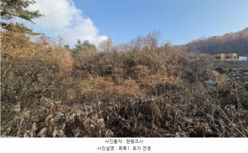2025타경73623 경기도 포천시 내촌면 신팔리 308-2 임야 경매 이미지