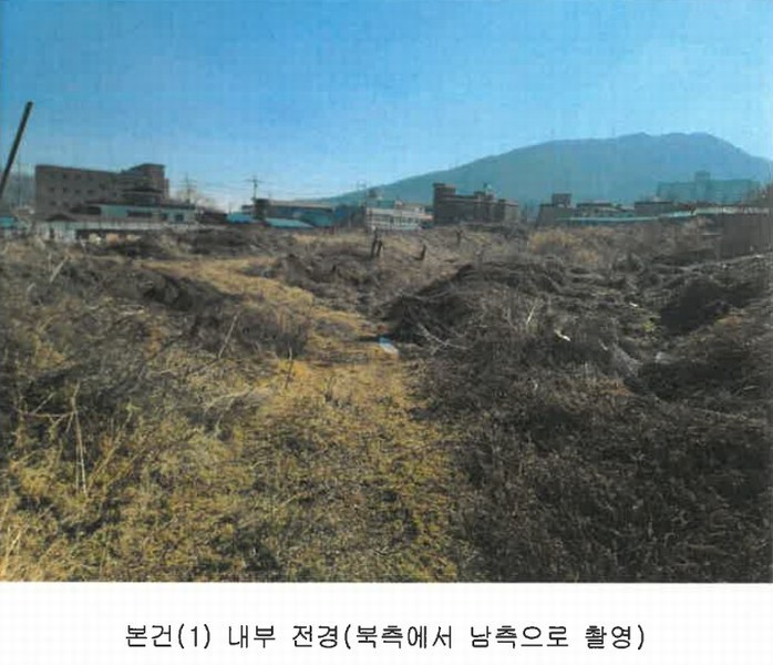 2025타경70008 경기도 양주시 백석읍 복지리 169-1 임야 경매 이미지