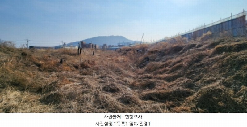 2025타경70008 경기도 양주시 백석읍 복지리 169-1 임야 경매 이미지
