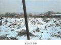 2025타경70008 경기도 양주시 백석읍 복지리 169-1 임야 경매 이미지
