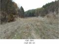 2025타경71992 경기도 포천시 신북면 계류리 543 농지 경매 이미지