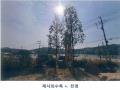 2025타경72108 경기도 연천군 미산면 아미리 790-1 근린주택 경매 이미지