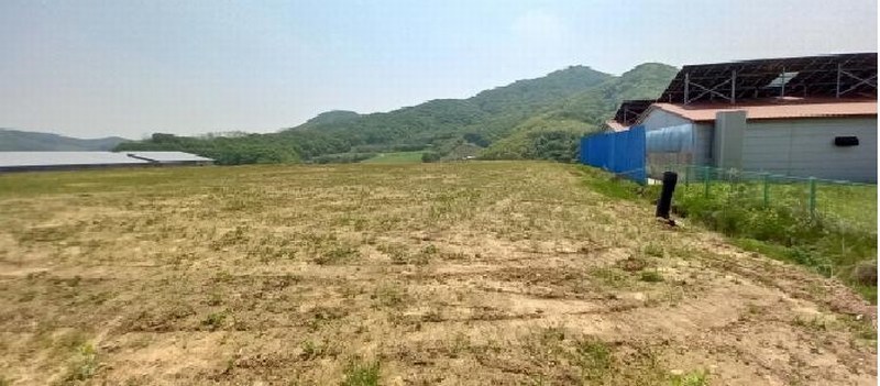 2025타경72207 강원특별자치도 철원군 철원읍 율이리 257-3 농지 경매 이미지