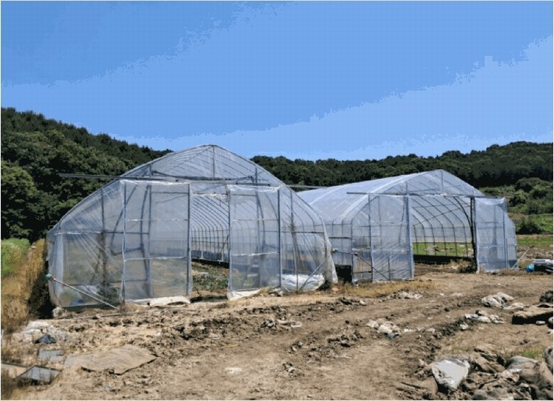2025타경72407 경기도 연천군 왕징면 강내리 771 농지 경매 이미지