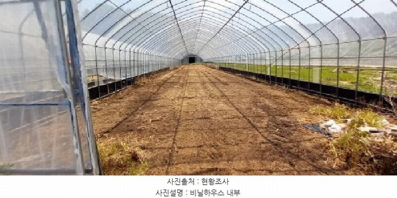 2025타경72407 경기도 연천군 왕징면 강내리 771 농지 경매 이미지