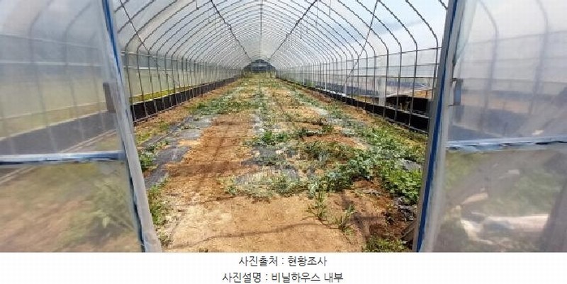 2025타경72407 경기도 연천군 왕징면 강내리 771 농지 경매 이미지