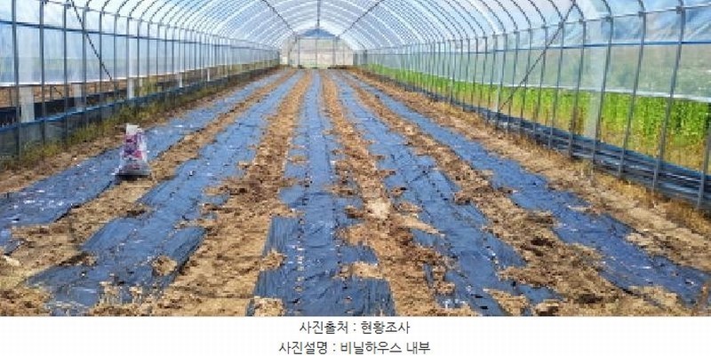 2025타경72407 경기도 연천군 왕징면 강내리 771 농지 경매 이미지