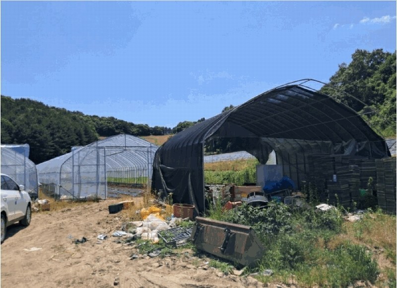2025타경72407 경기도 연천군 왕징면 강내리 771 농지 경매 이미지
