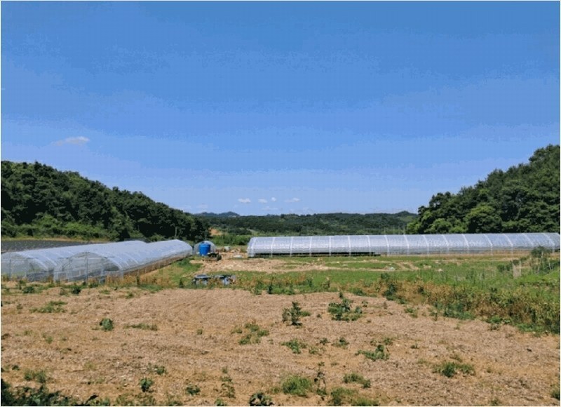 2025타경72407 경기도 연천군 왕징면 강내리 771 농지 경매 이미지