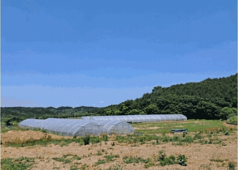 2025타경72407 경기도 연천군 왕징면 강내리 771 농지 경매 이미지
