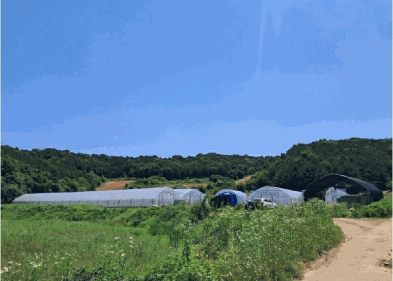2025타경72407 경기도 연천군 왕징면 강내리 771 농지 경매 이미지