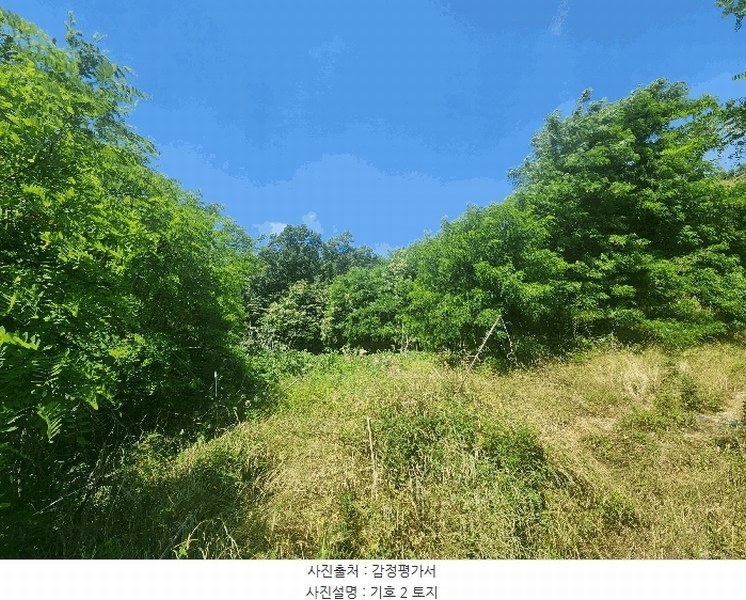2025타경72435 경기도 양주시 은현면 하패리 408-2 농지 경매 이미지