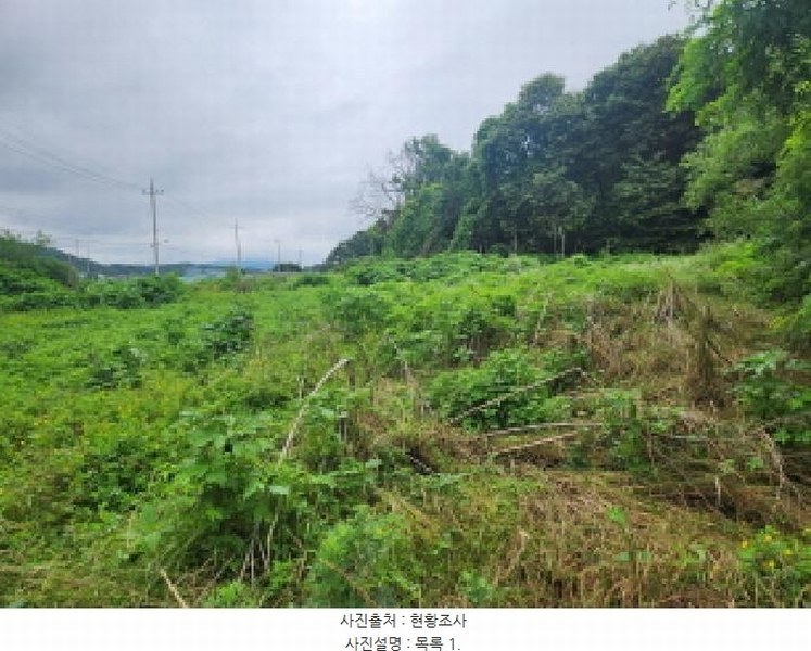 2025타경72435 경기도 양주시 은현면 하패리 408-2 농지 경매 이미지