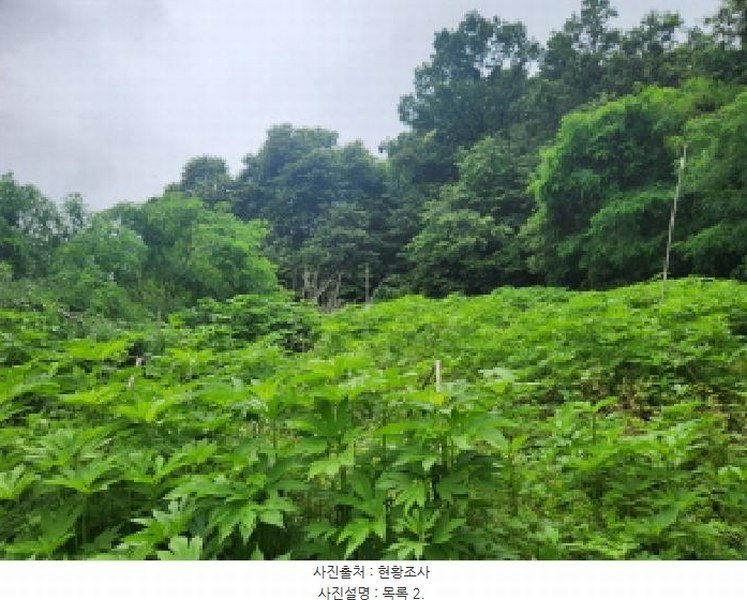 2025타경72435 경기도 양주시 은현면 하패리 408-2 농지 경매 이미지